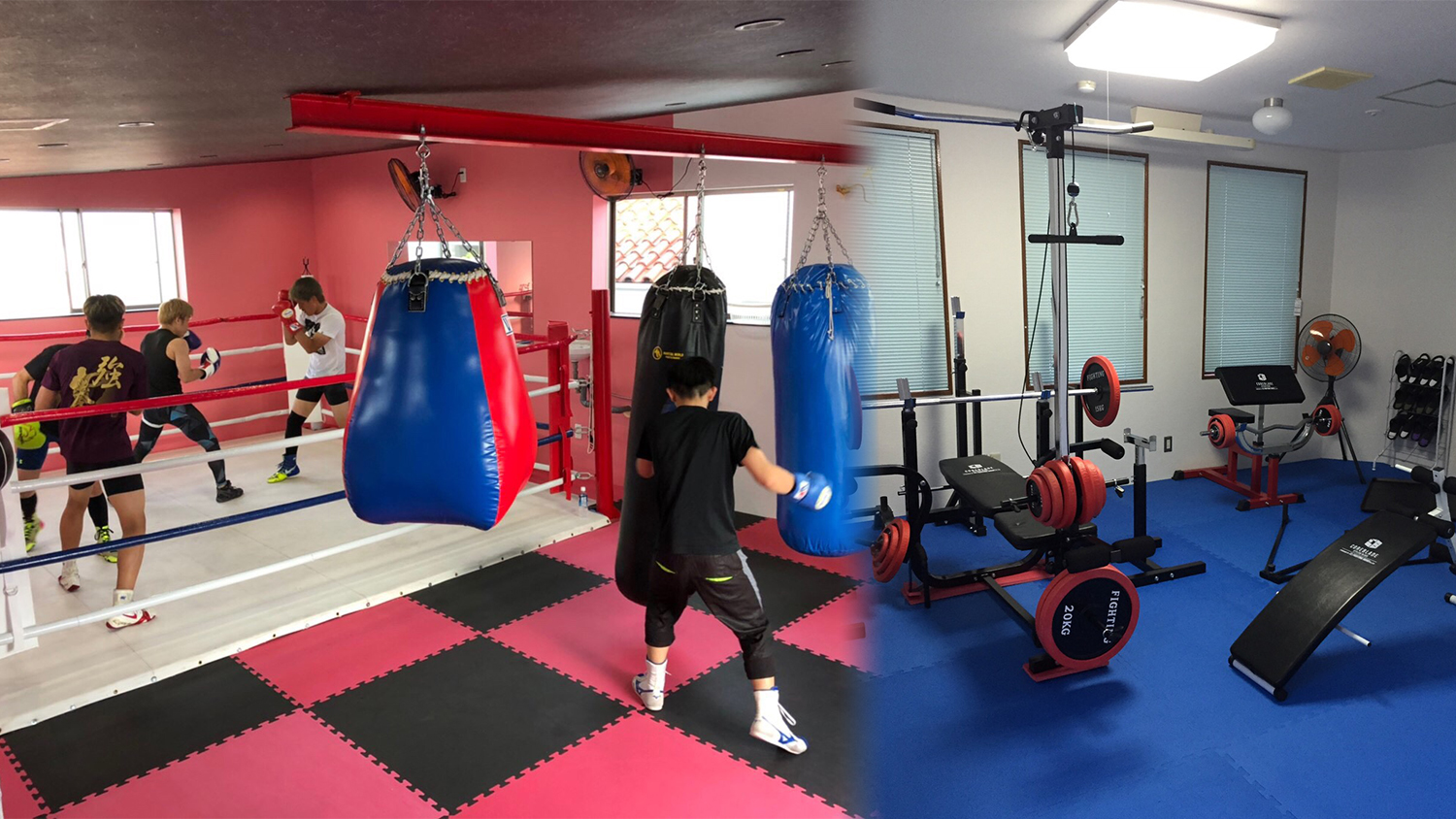 ミツキボクシングジム 合宿所案内 白浜中村ボクシングジム