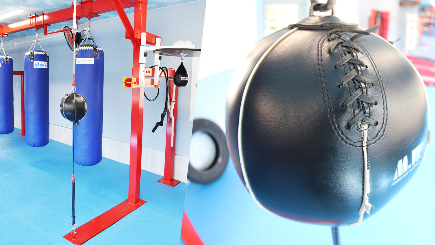 ミツキボクシングジム パンチングボール ダブルエンド